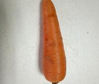 胡蘿卜